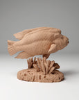 Napoleon Humphead Wrasse - 3d Printed 1/24 Scale Miniature by Animal Den