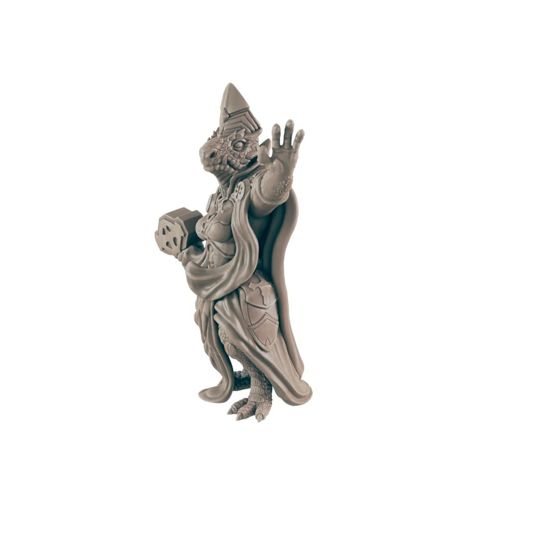 Cleric, Dragonkin Female - 3d Printed Miniature Sculpted by EC3D ...