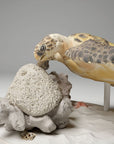 Hawksbill Sea Turtle - 3d Printed 1:16 Scale Miniature by Animal Den