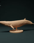 Minke Whale - 3d Printed 1:100 Scale Miniature by Animal Den