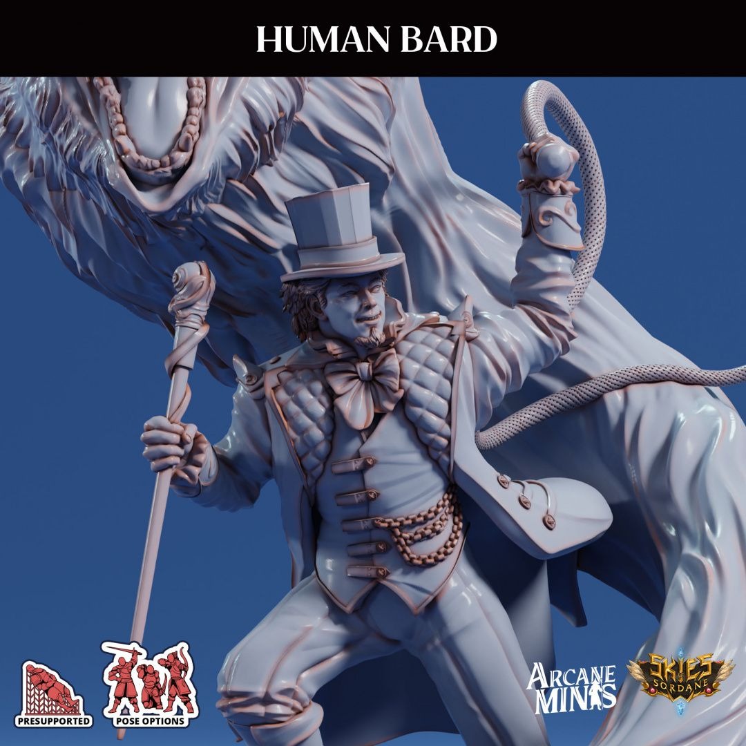 Human Bard - 3d Printed Miniature by Arcane Minis