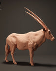 Gemsbok - 3d Printed 1:24 Scale Miniature by Animal Den