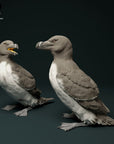 Razorbills - 3d Printed 1:8 Scale Miniature by Animal Den