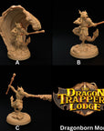 Dragonborn Monk - 3d Printed Miniature by Dragon Trappers Lodge