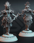 Driga, Colossal Blood Mage- 3d Printed Miniature by DM Stash