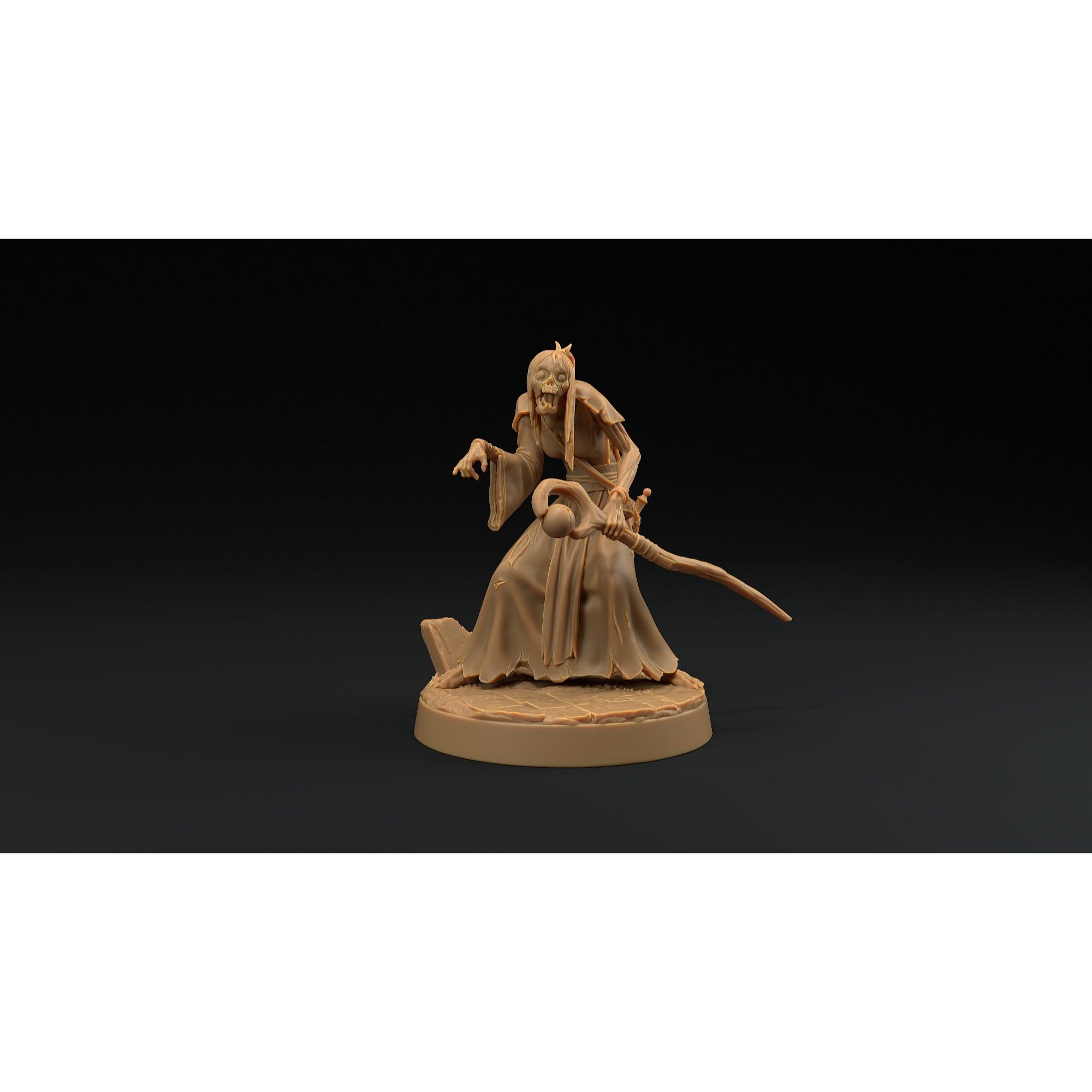 Human Mage Zombie - 3d Printed Miniature by Dragon Trappers Lodge