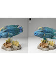 Napoleon Humphead Wrasse - 3d Printed 1/24 Scale Miniature by Animal Den