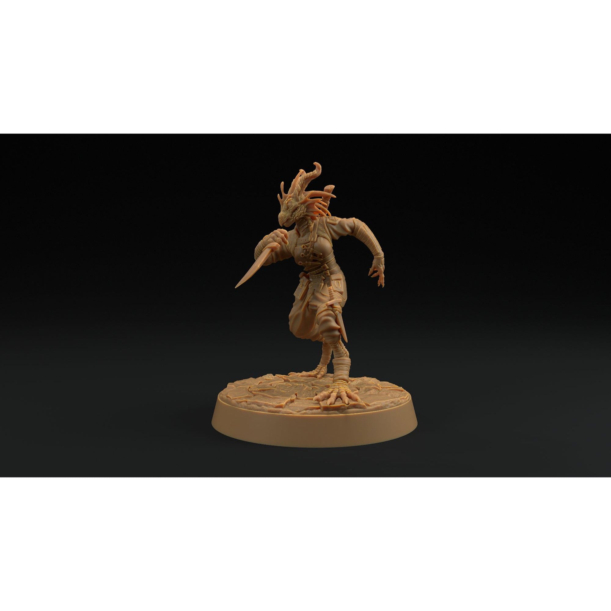 Nyxia Shadowblade - 3d Printed Miniature by Dragon Trappers Lodge