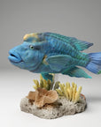 Napoleon Humphead Wrasse - 3d Printed 1/24 Scale Miniature by Animal Den