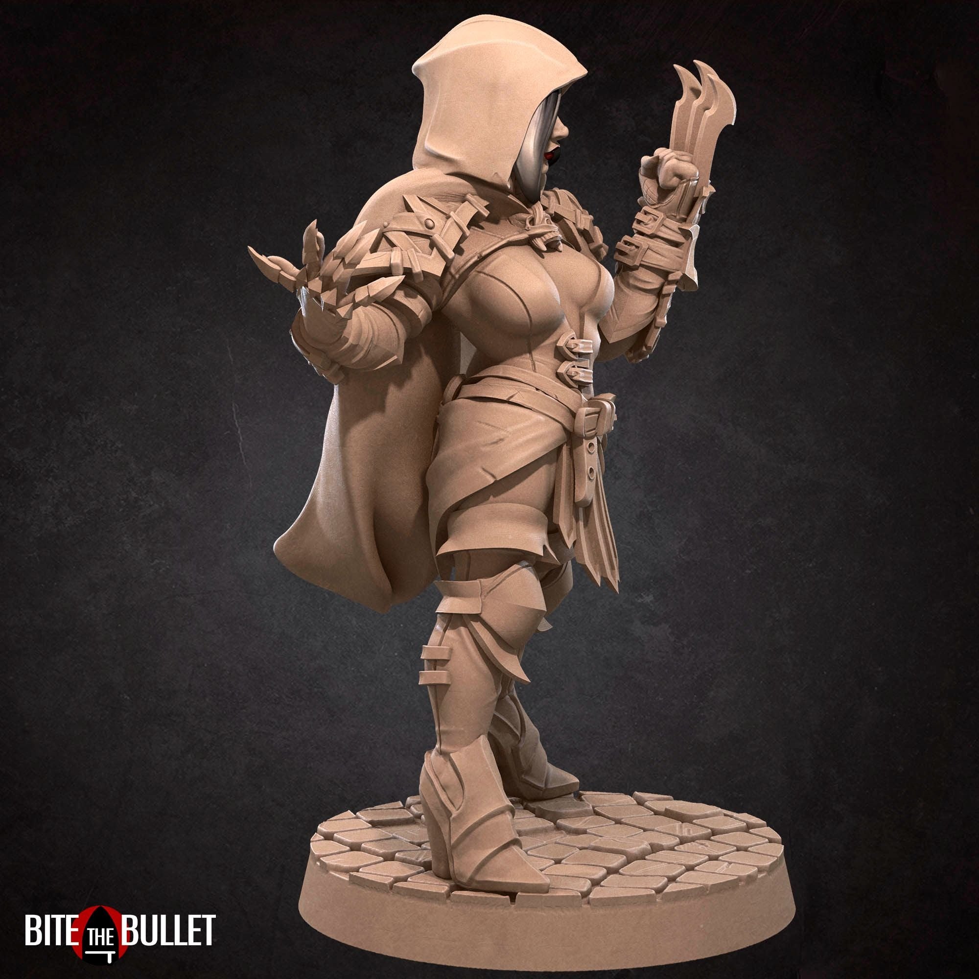 Hero Assassin - Bullet Hell Heroes - 3d Printed Miniature by Bite the Bullet