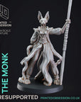 Master Mao, Tabaxi Monk - 3d Printed Miniature by Printed Obsession