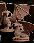 Young Black Dragon - Scales of Greed - 3d Printed Miniature by Arcane Minis