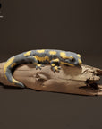 Fire Salamander - 3d Printed 1/6 Scale Miniature by Animal Den