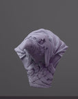 Kreak the Flightless Bust - 3d Printed Miniature Sculpted by The Witchguild