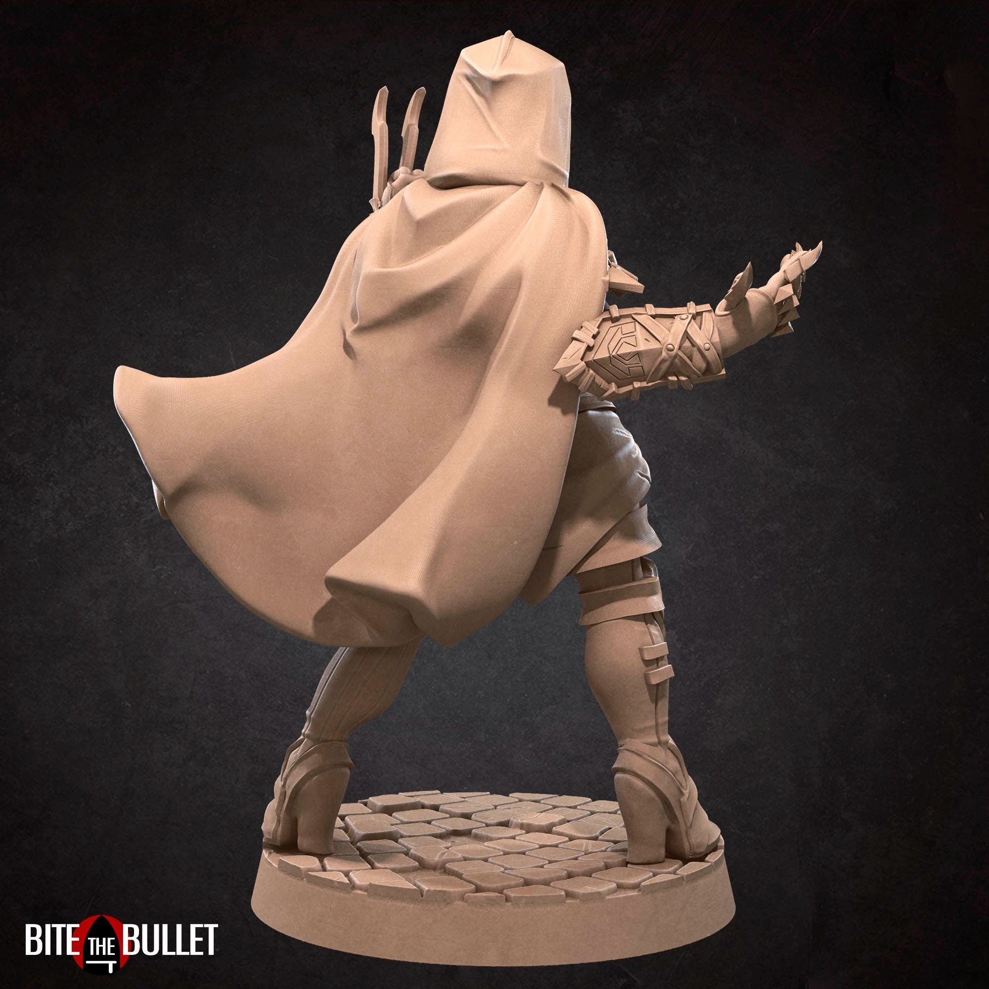 Hero Assassin - Bullet Hell Heroes - 3d Printed Miniature by Bite the Bullet