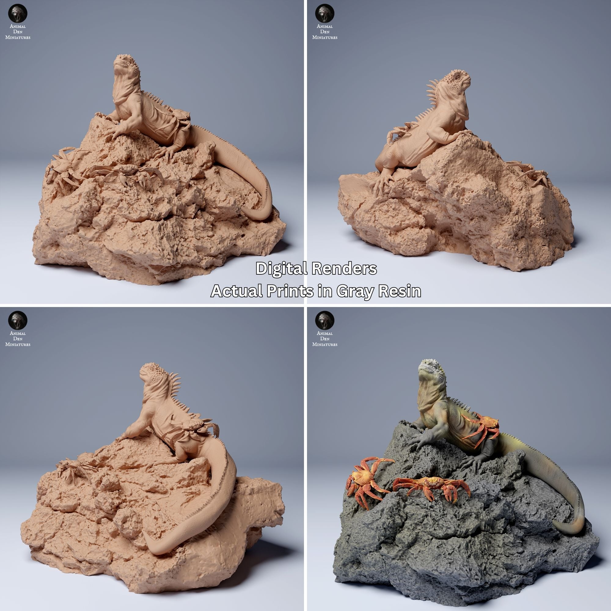 Marine Iguana with Sally Lightfoot Crabs - 3d Printed 1:16 Scale Miniature Sculpted by Animal Den