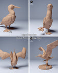 Blue Footed Booby - 3d Printed 1:16 Scale Miniature Sculpted by Animal Den