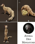 Common Genet - 3d Printed 1/24 Scale Miniature by Animal Den