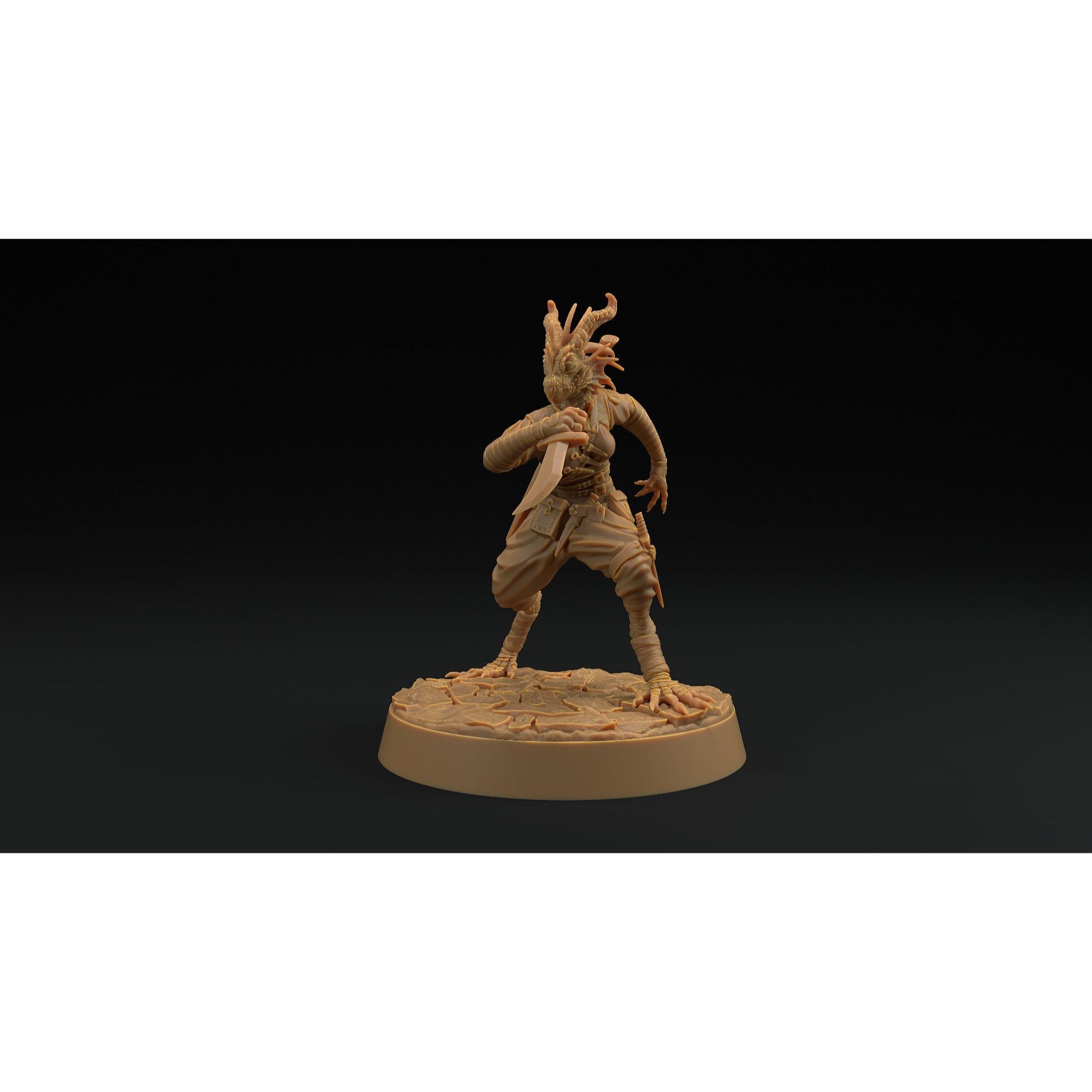 Nyxia Shadowblade - 3d Printed Miniature by Dragon Trappers Lodge