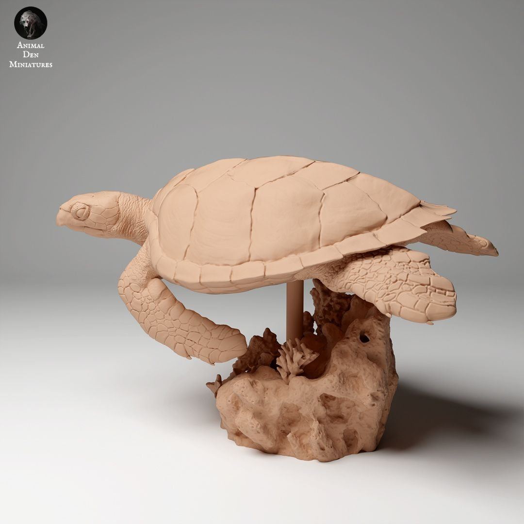 Hawksbill Sea Turtle - 3d Printed 1:16 Scale Miniature by Animal Den