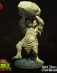 Rock Troll - 3d Printed Miniature by Crippled God Foundry