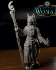 Tabaxi Sorcerer Dobra - 3d Printed Miniature by DND Is A Woman