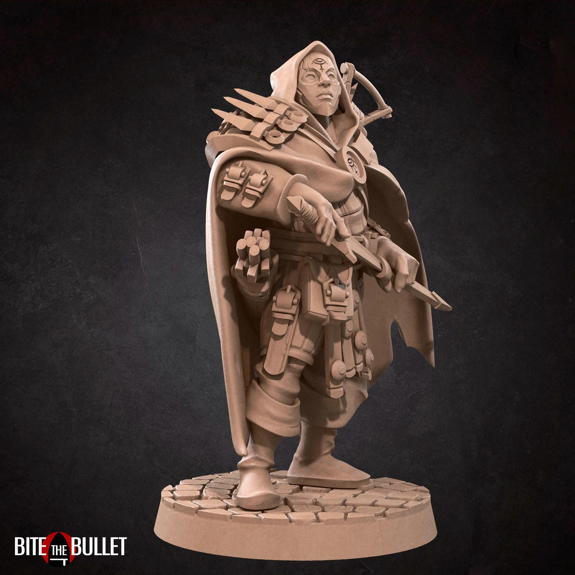 Hero Rogue - Bullet Hell Heroes - 3d Printed Miniature by Bite the Bullet