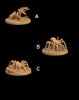 Tarantulas