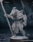 Sahuagin Warrior