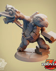 Turtle Adventuring Guild