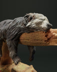 Binturong (Bear Cat)