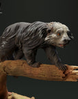 Binturong (Bear Cat)