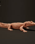 Black Caiman