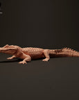 Black Caiman