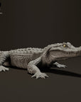 Black Caiman