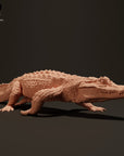 Black Caiman