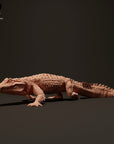 Black Caiman