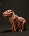 Capybara
