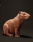 Capybara