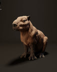Capybara