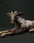 Sumatran Serow