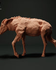 Sumatran Serow