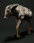 Sumatran Serow